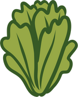 Coste - KG
