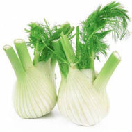 Finocchi - Kg
