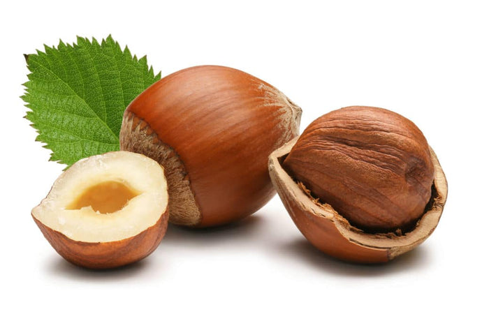 Nocciole in guscio
