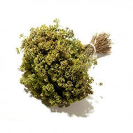 Origano a mazzetto BIO