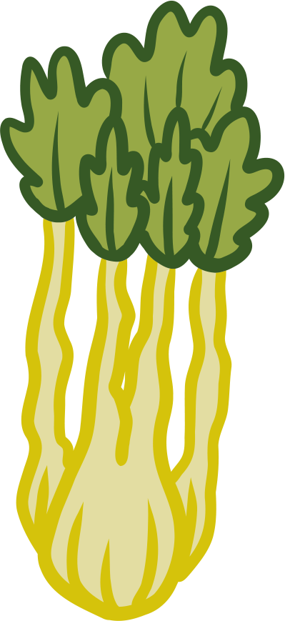 Sedano verde - Pz